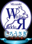 宮崎市・デリバリーヘルス・しろうさぎ