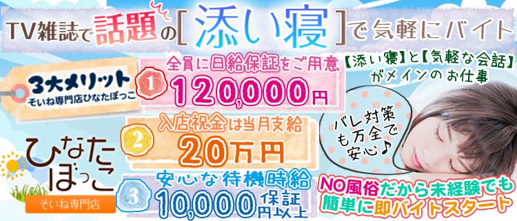 上野・秋葉原・日暮里・添い寝・そいね専門店ひなたぼっこの風俗求人情報