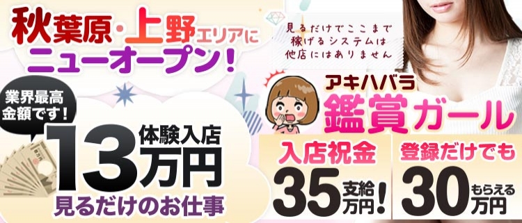 上野・秋葉原・日暮里・鑑賞専門店・秋葉原 鑑賞ガールの風俗求人情報