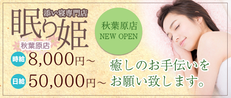 添い寝専門店ねむり姫 秋葉原店