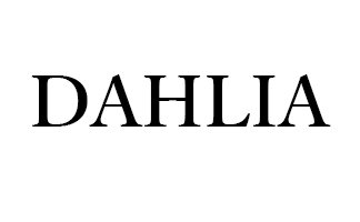 ・DAHLIA（ダリア）