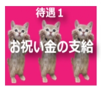 舞鶴・デリバリーヘルス・ピンキープリンセスの高収入求人情報 PRポイント