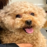 面接担当者