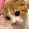 面接担当者
