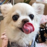 面接担当者