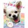 面接担当者