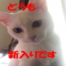 面接担当者